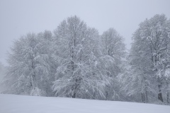 IMG_20260125_123030