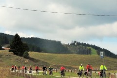 DSCN4788