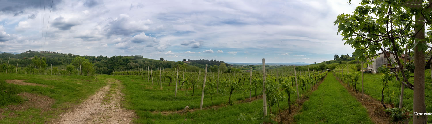 240505FIABVIgirodivino-138