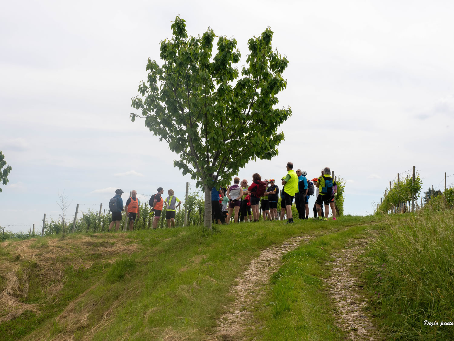 240505FIABVIgirodivino-147